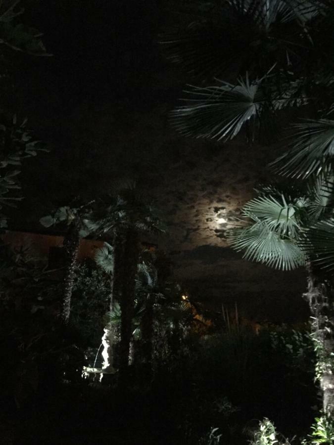 Villa Marija Orsera Esterno foto